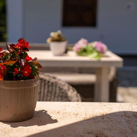 Paradeisos Rooms Pelion Áyios Dhimítrios Kültér fotó